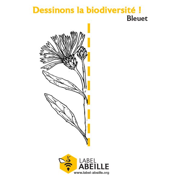 LABEL ABEILLE - Dessinons la biodiversité ! 